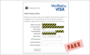 FAKE Visa verification page
